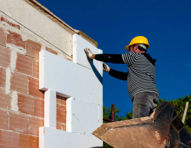 Best Eco-Friendly Insulation in Somerville, TX