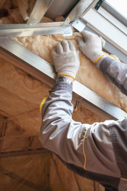 Best Specialized Insulation Services in Somerville, TX