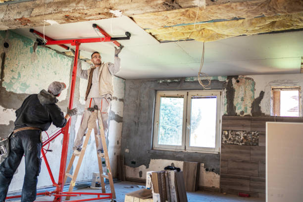 Best Residential Insulation in Somerville, TX