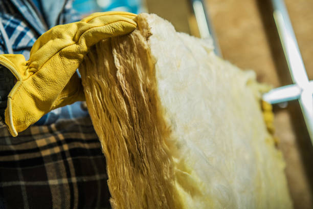 Best Insulation Maintenance and Repair in Somerville, TX