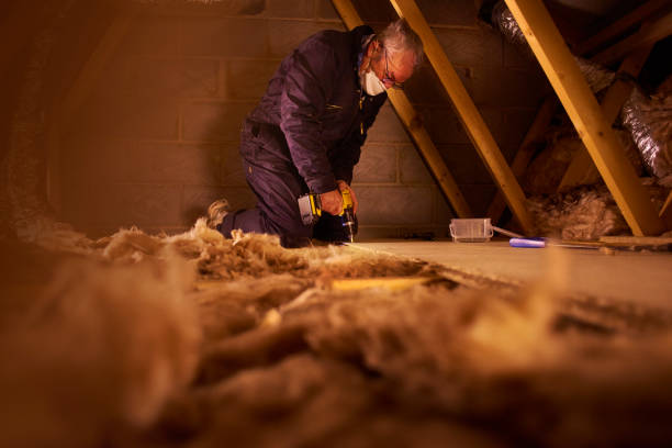 Types of Insulation We Offer in Somerville, TX